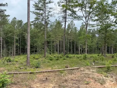 0 Mt Sinai #LOT 9, Lula, GA 30554 photo 55