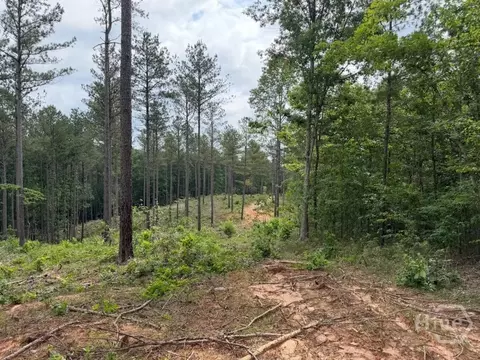 0 Mt Sinai #LOT 9, Lula, GA 30554 photo 50
