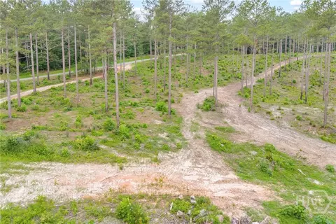 0 Mt Sinai #LOT 9, Lula, GA 30554 photo 23