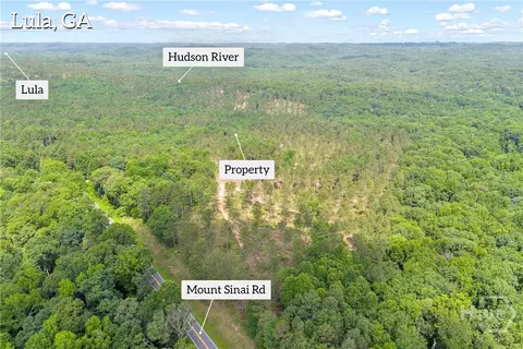 0 Mt Sinai #LOT 9, Lula, GA 30554 photo 4