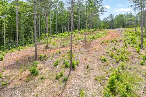 0 Mt Sinai #LOT 9, Lula, GA 30554 photo 35