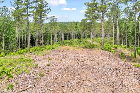 0 Mt Sinai #LOT 9, Lula, GA 30554 photo 32