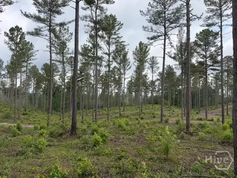 0 Mt Sinai #LOT 9, Lula, GA 30554 photo 45