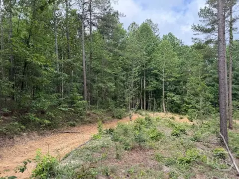 0 Mt Sinai #LOT 9, Lula, GA 30554 photo 52