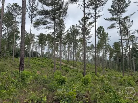 0 Mt Sinai #LOT 9, Lula, GA 30554 photo 44