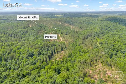 0 Mt Sinai #LOT 9, Lula, GA 30554 photo 5
