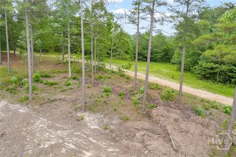 0 Mt Sinai #LOT 9, Lula, GA 30554 photo 22