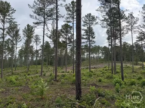 0 Mt Sinai #LOT 9, Lula, GA 30554 photo 46