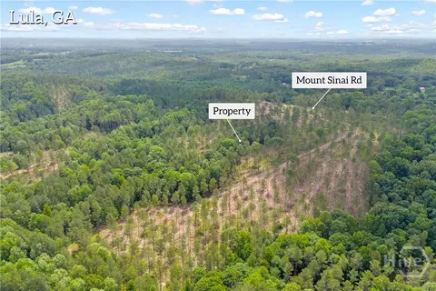0 Mt Sinai #LOT 9, Lula, GA 30554 photo 6