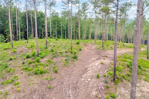 0 Mt Sinai #LOT 9, Lula, GA 30554 photo 25