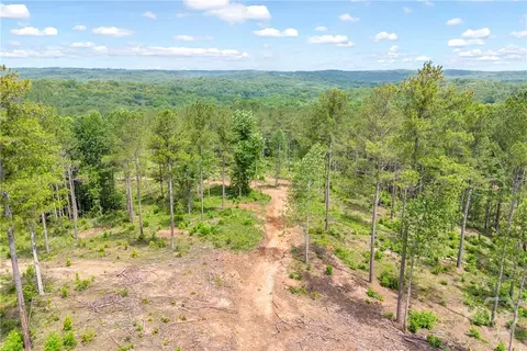 0 Mt Sinai #LOT 9, Lula, GA 30554 photo 37