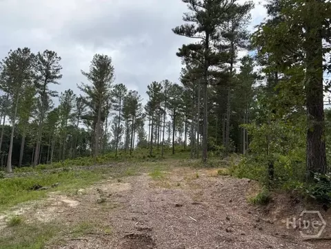 0 Mt Sinai #LOT 9, Lula, GA 30554 photo 48