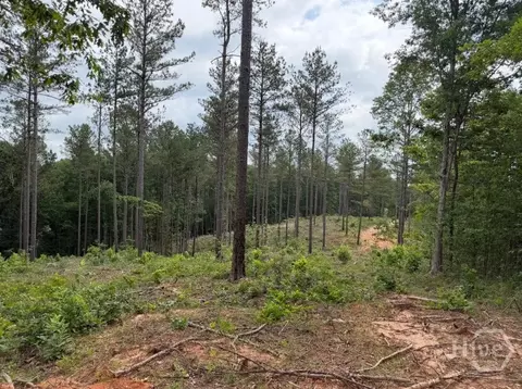 0 Mt Sinai #LOT 9, Lula, GA 30554 photo 49