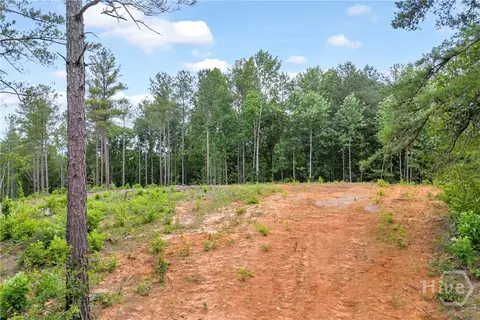 0 Mt Sinai #LOT 9, Lula, GA 30554 photo 43
