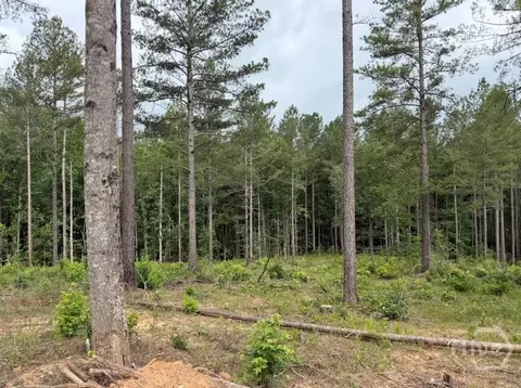 0 Mt Sinai #LOT 9, Lula, GA 30554 photo 56