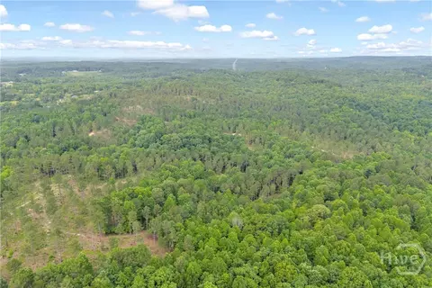 0 Mt Sinai #LOT 9, Lula, GA 30554 photo 42