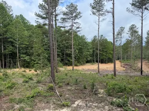 0 Mt Sinai #LOT 9, Lula, GA 30554 photo 51