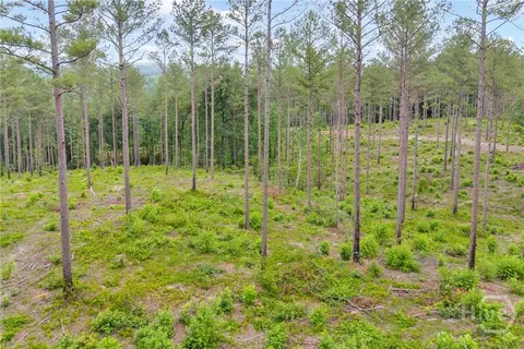 0 Mt Sinai #LOT 9, Lula, GA 30554 photo 24