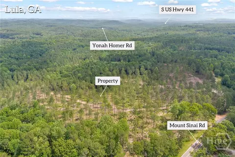 0 Mt Sinai #LOT 9, Lula, GA 30554 photo 3