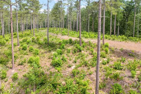 0 Mt Sinai #LOT 9, Lula, GA 30554 photo 34