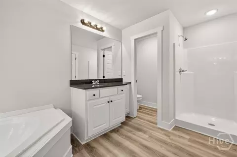 Bath - 44 Syacmore Dr #17, Colbert, GA 30628 photo 4 of 5