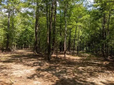 0 Winding Ridge Dr, Tignall, GA 30668 photo 17