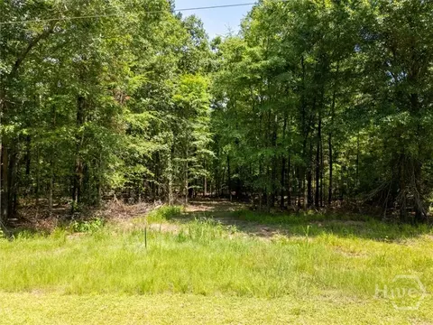 0 Winding Ridge Dr, Tignall, GA 30668 photo 11