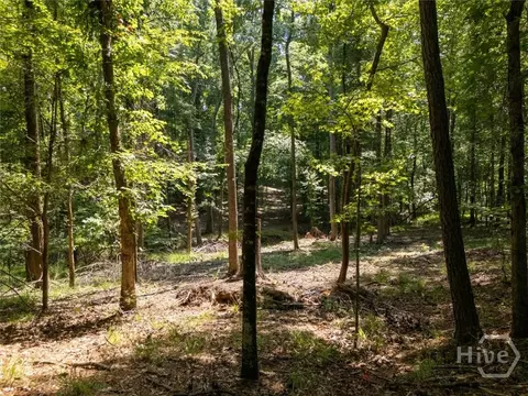 0 Winding Ridge Dr, Tignall, GA 30668 photo 18