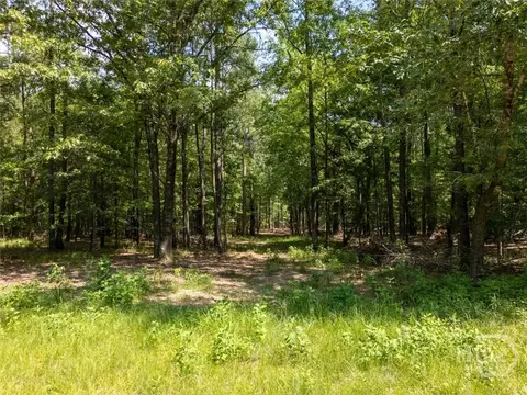0 Winding Ridge Dr, Tignall, GA 30668 photo 10