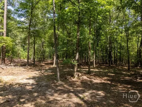 0 Winding Ridge Dr, Tignall, GA 30668 photo 13