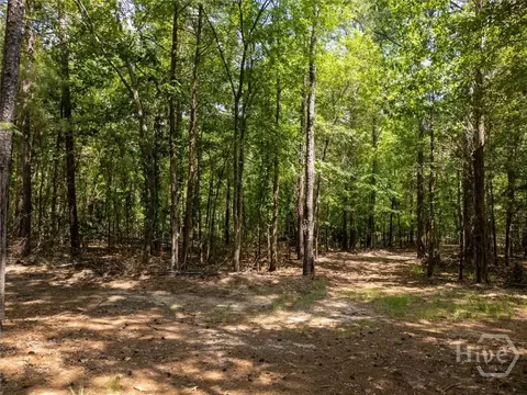 0 Winding Ridge Dr, Tignall, GA 30668 photo 14