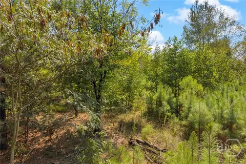 0 Poplar Rd, Commerce, GA 30529 photo 10