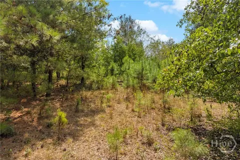0 Poplar Rd, Commerce, GA 30529 photo 9