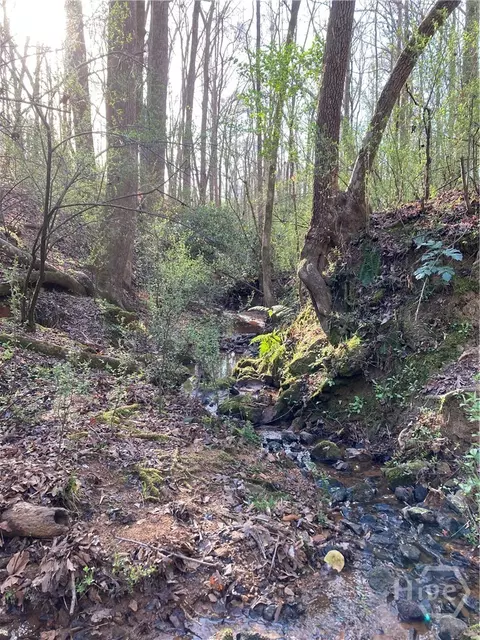 100 Red Fox Run, Athens, GA 30605 photo 12