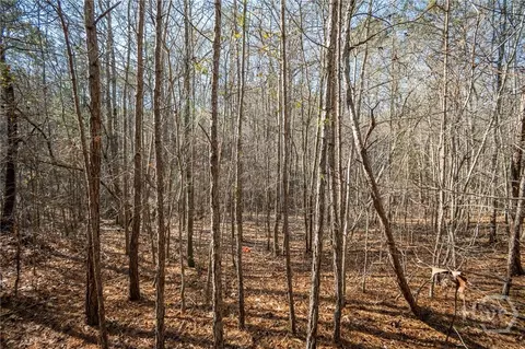 0 Lavista Rd, Jefferson, GA 30549 photo 8