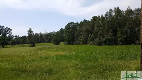 lot1 Frazier Dr, Riceboro, GA 31323