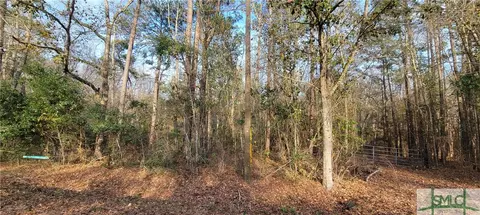 0 Pine Needle Dr, Ellabell, GA 31308