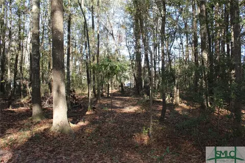 lot S 76 And 77 Clark St, Midway, GA 31320