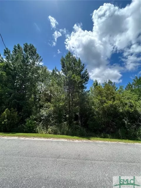 lot18 Main Trl, Midway, GA 31320