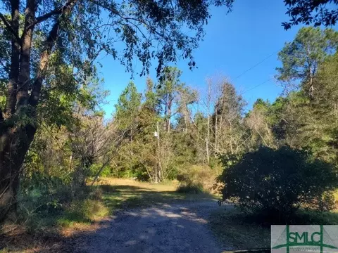 Undisclosed, Fleming, GA 31309 photo 2