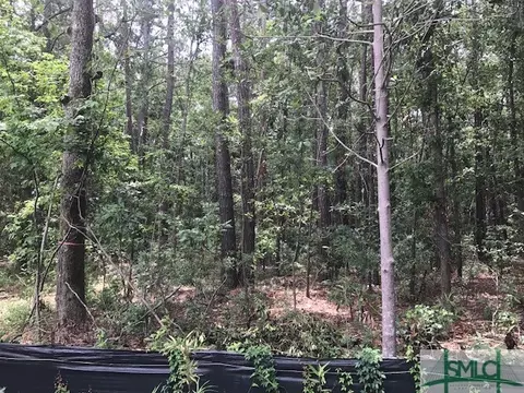 tbd Lost Oak Dr, Bluffton, SC 29910 photo 9