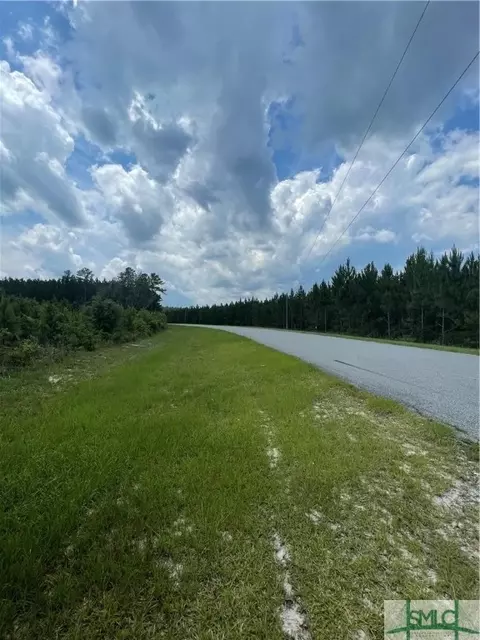 0 Rahn Station Rd, Springfield, GA 31329 photo 4