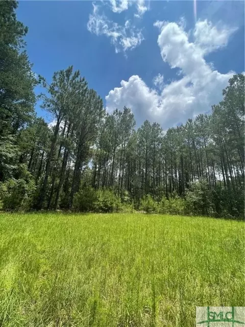 0 Rahn Station Rd, Springfield, GA 31329 photo 2