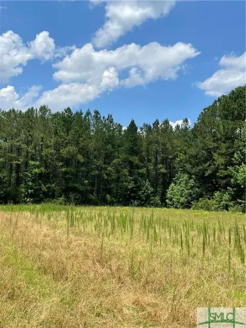 0 Rahn Station Rd, Springfield, GA 31329 photo 5