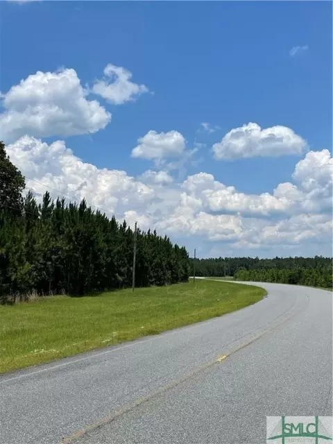 0 Rahn Station Rd, Springfield, GA 31329