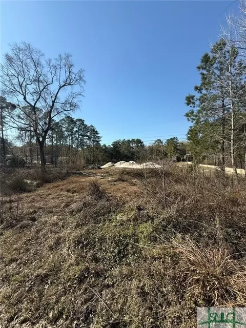 145 Middle Landing Rd, Bloomingdale, GA 31302
