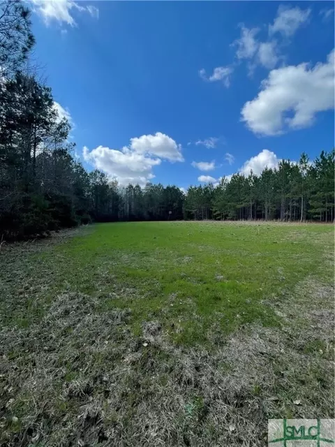 0 Fish Rd, Newington, GA 30446