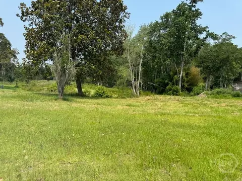 0 Us Hwy 17 Hwy, Townsend, GA 31331