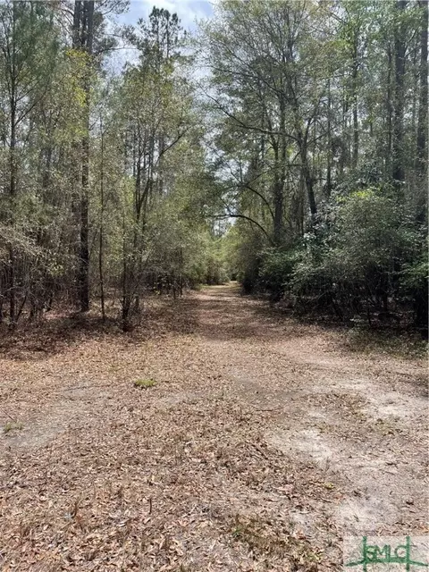 0 Pleasant Acres Rd, Springfield, GA 31329 photo 6