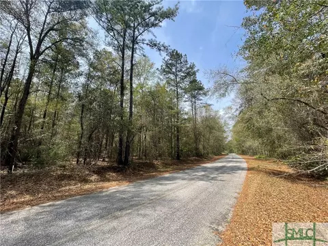0 Pleasant Acres Rd, Springfield, GA 31329 photo 2